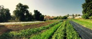 Ferme de Budé Picture