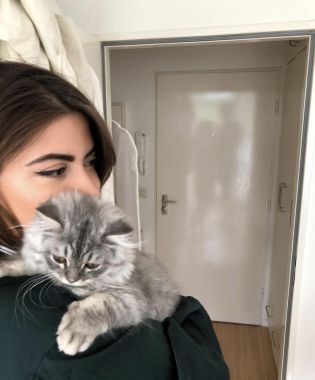 Cat Sitting Geneva and surrounding France Picture