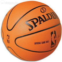 Geneva Basketball Group Picture