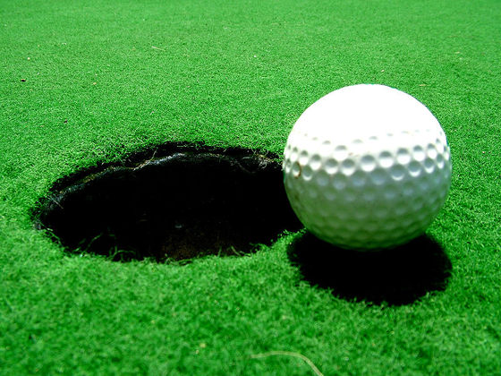 Geneva Golf Group Picture