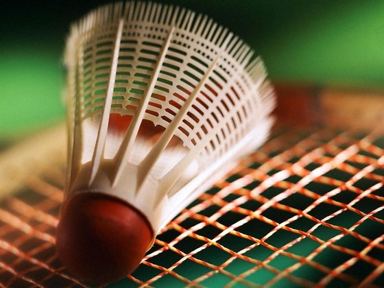 Geneva Badminton Group Picture