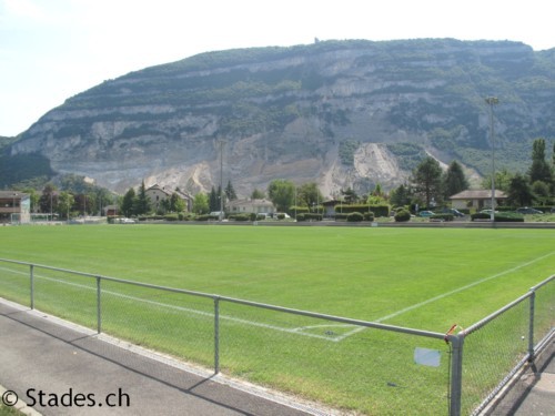 Geneva Glocals Football Picture