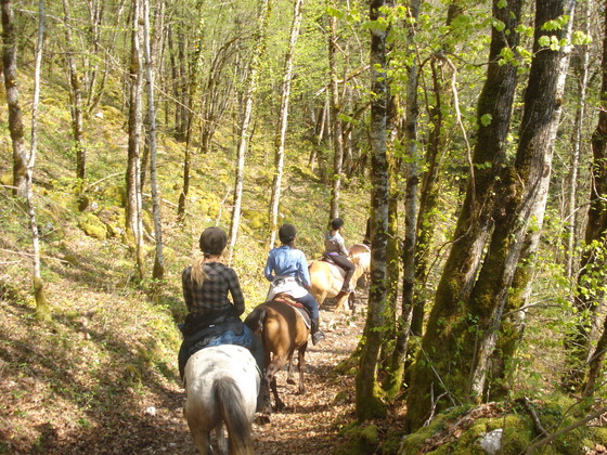 Geneva Horse Trekking Club Picture
