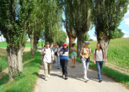 Geneva Weekday Walking Group Picture