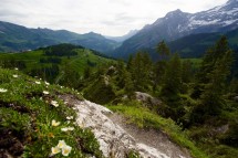 A summer hike towards the Gypsum pyramids above Villars Picture