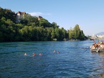 Swimming in the river Rhône - Jonction Picture