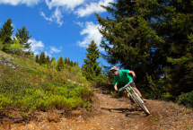 Les Houches mountain bike trails Picture