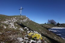 Hike St-Cergue Picture