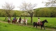 Horseback ride with BBQ Picture