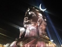 MahaShivRatri Bliss: Bathe in the Grace of Shiva Picture