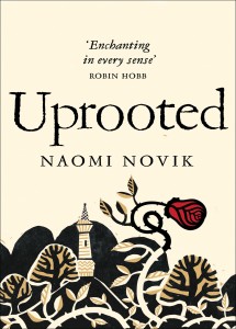 Women’s Book Club - Naomi Novik’s ’Uprooted’ Picture