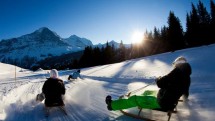 A 12.5 kilometre-long sledging experience in Grindelwald. Picture