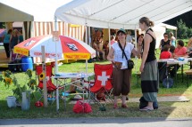 Volunteer at Dancing Festival in the Emmental Picture