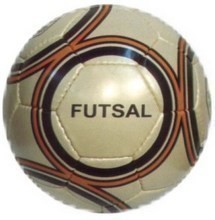 Futsal Picture