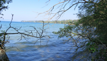 Walk along the lakeside: Hermance-Plage de Beauregard Picture