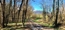 New walk near Ségny - meet up at 9h15 Picture