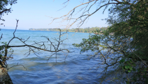 Walk and swim: Hermance-Plage de Beauregard Picture