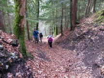 hike Lac des Chavonnes Picture