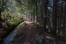 ** Bisse HIKE - Haute Nendaz!! ** Picture