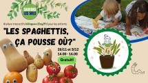 Save Soil: Where does Spaghetti grow? Picture