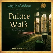 Book #156 - Palace Walk by Naguib Mahfouz Picture