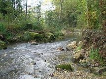 Sunday stroll: from Sierne to Carouge