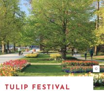 Walk: Tulips - Morges, A.Hepburn visit, Morges-Lausanne Picture