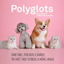 Polyglots: Multi-lingual improv comedy show Picture