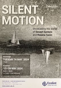 Silent Motion Exibition *** free entry *** Picture