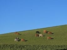 A Day of slow hiking in Rural Bern