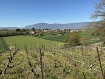 countryside walk Perly Soral