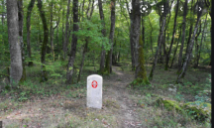 Saturday stroll:  Bossy-Versoix - meet up at 09h50