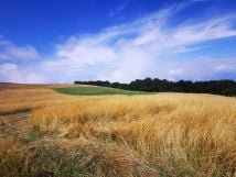 Free hikes on the Saleve