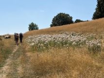 Free hikes on the Saleve