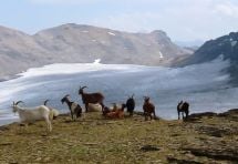 Pointe de la Plaine Morte (2900 m)