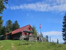 Wild & Still: A Women’s Mountain Morning