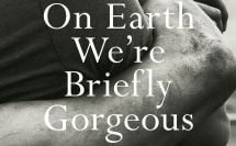 Book 182 - On Earth We're Briefly Gorgeous, Ocean Vuong