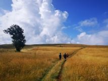 Free hikes on the Saleve