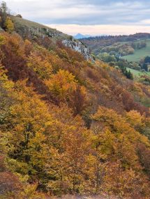 Free hikes on the Saleve