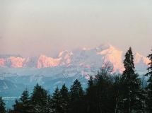 Mindful Women's Hike & Picnic