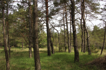 countryside walk Laire Repentance - meet up 08h30