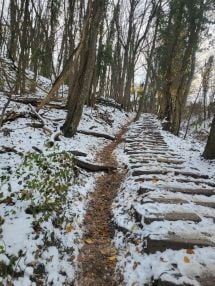 Free hikes on the Saleve