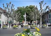 Guided Tour : A Zigzag Stroll Through Carouge Picture