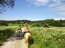 Weekend horse trek in Beaujolais...intermediate riders Picture