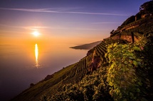 Friday Night Halloween Hike at Lavaux Picture