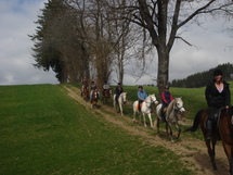 Horse Trek near Bern Picture