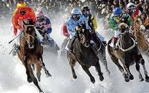 White Turf Meeting 2015 - 2. Race date 15. Februar 2015 Picture