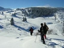 snowshoe hike: Col de Cenise Picture