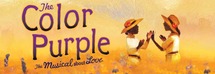 Book 93: The Color Purple by Alice Walker Picture