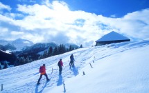 Winter Fun-Snowshoeing-Les Paccots Picture